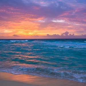 Fundraising Page: Jessica Rodriguez